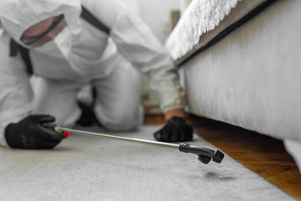Professional Bed Bug Control technician working in California City, CA
