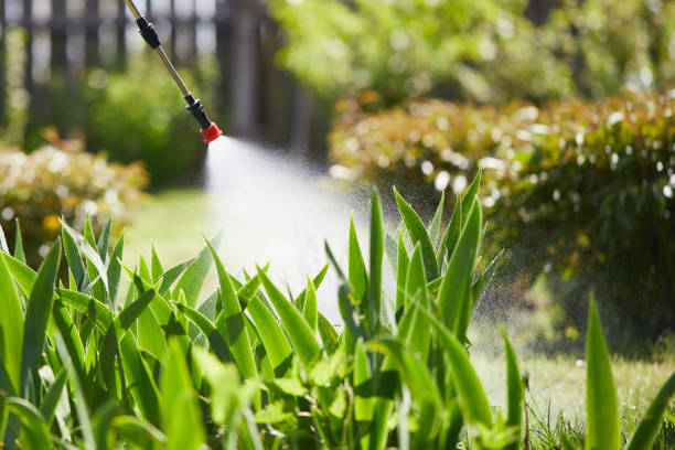 24/7 Emergency Bed Bug Control experts in California City, CA