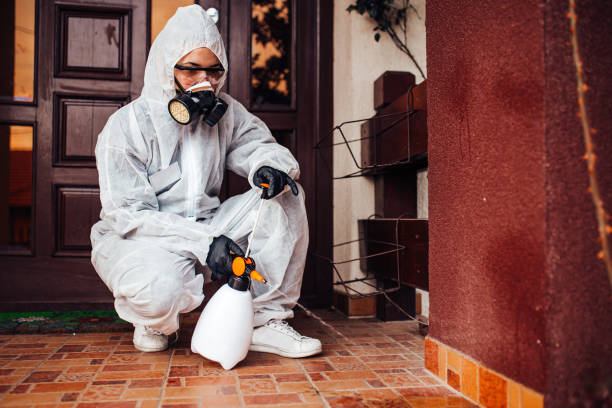 Reliable Bed Bug Control contractor in California City, CA by Nex Pest Control