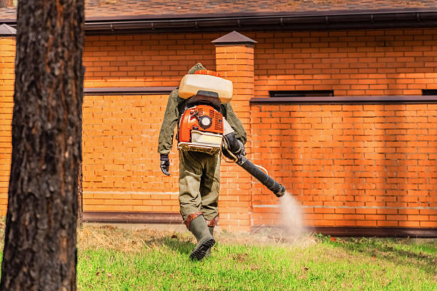 Trusted Fumigation Services service in California City, CA - Nex Pest Control